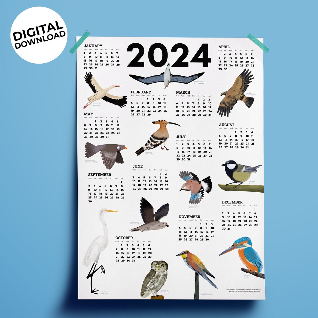 Birds 2024 Printable Calendar, 2024 Year Calendar, A3 Calendar