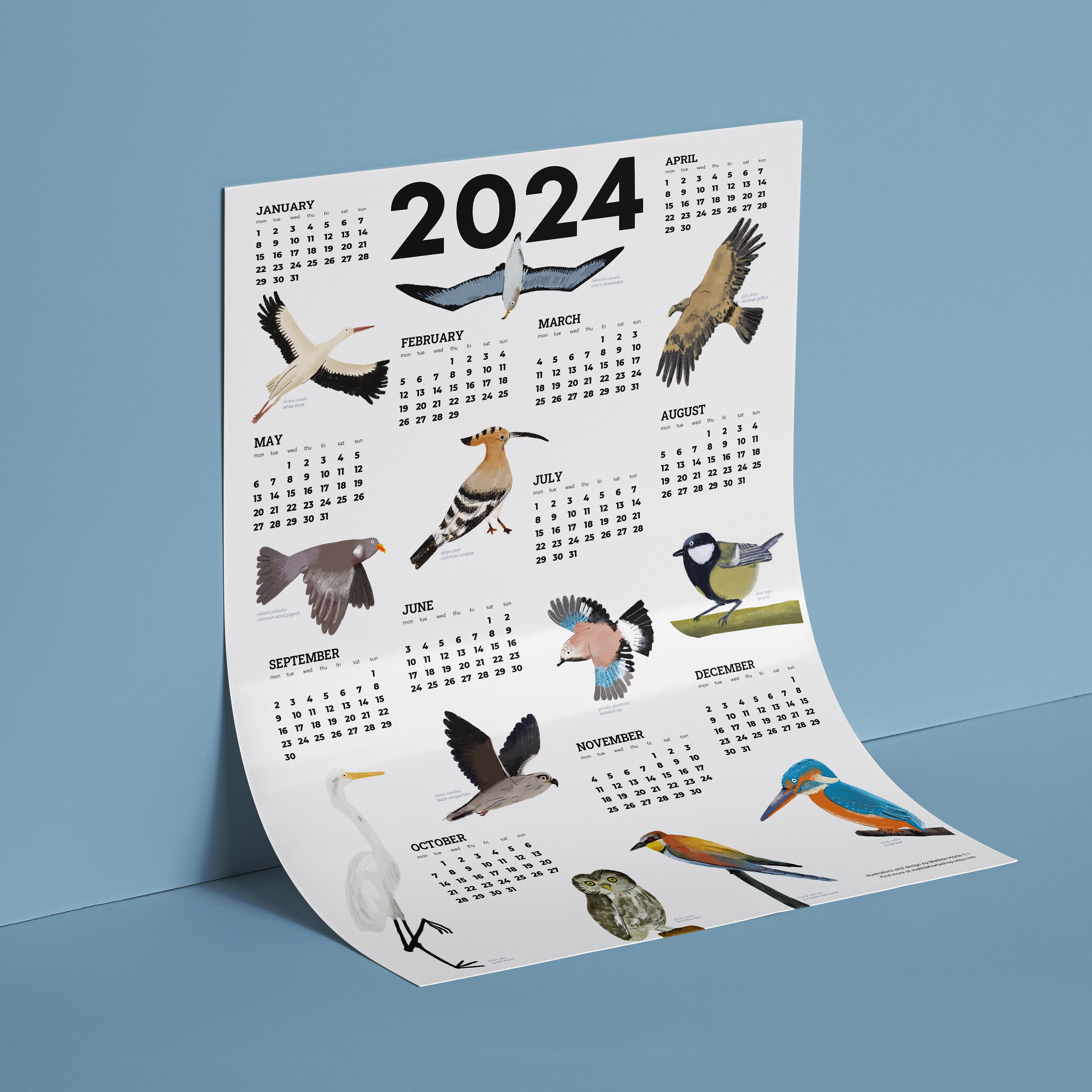 Birds 2024 Printable Calendar, 2024 Year Calendar, A3 Calendar