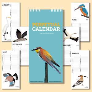 perpetual birthday calendar, printable perpetual calendar, birds calendar, undated planner, birthday calendar animal, printable calendar pdf