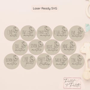 Téléchargement numérique de bébé dinosaure SVG | Fichier prêt pour le laser | Nouveau cadeau de baby shower | Jeu de disques Milestone | Laser OMTech | Accessoires photo bébé dinosaure