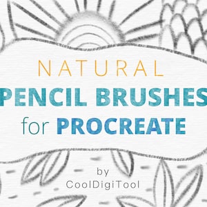 Procreate Drawing Brushes: Over 20 Procreate Pencil Brushes for Drawing, Sketching, Shading and Adding Texture to Digital Illustrations
