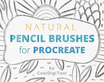 Procreate Drawing Brushes: Over 20 Procreate Pencil Brushes for Drawing, Sketching, Shading and Adding Texture to Digital Illustrations