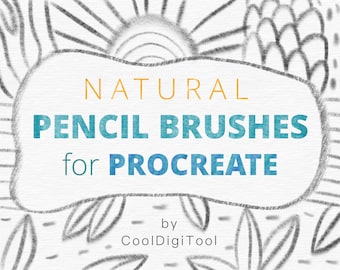 Procreate Drawing Brushes: Over 20 Procreate Pencil Brushes for Drawing, Sketching, Shading and Adding Texture to Digital Illustrations