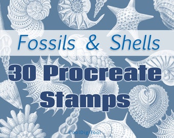 Vintage Ernst Haeckel Procreate Brushes: Fossil & Shell Stamps (Digital Download)