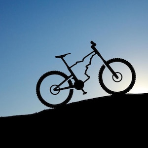 IDAHO Mountain Bike vinyl decal bicycle