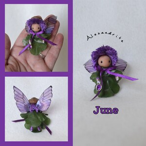 May include: A purple fairy doll with wings, a purple flower crown, and a green dress. The doll is holding a purple gem charm. The doll is labelled "June" and "Alexandrite".
