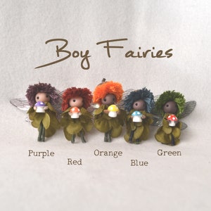 Op de afbeelding: Zes kleine jongenfee&euml;n met verschillende haarkleuren en paddenstoelaccessoires. De fee&euml;n staan in een rij en dragen groene outfits. De tekst "Boy Fairies" staat boven de fee&euml;n.