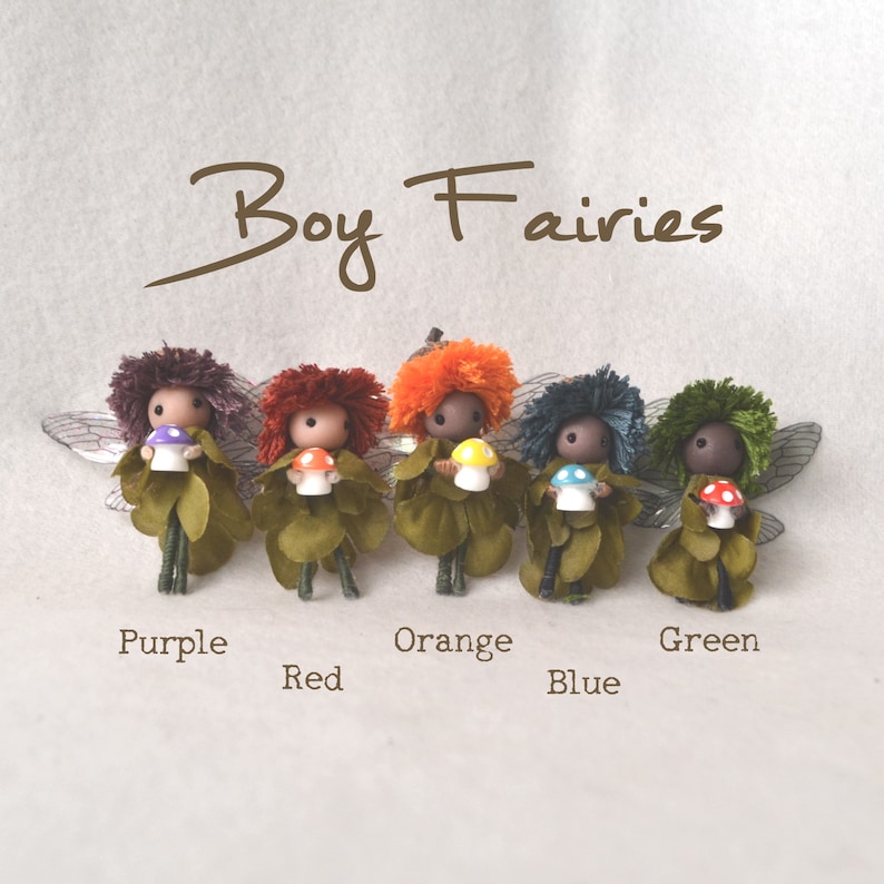 Op de afbeelding: Zes kleine jongenfee&euml;n met verschillende haarkleuren en paddenstoelaccessoires. De fee&euml;n staan in een rij en dragen groene outfits. De tekst "Boy Fairies" staat boven de fee&euml;n.