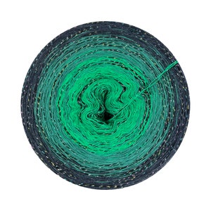 May include: A skein of yarn in a gradient of green and black with a subtle sparkle. The yarn is wound into a circular shape.