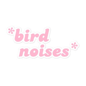 May include: Pink sticker with the text "*bird noises*" in a retro font.