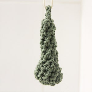 Op de afbeelding: Een groen gehäkeld macramé hangend ornament met een geknoopt touwontwerp.
