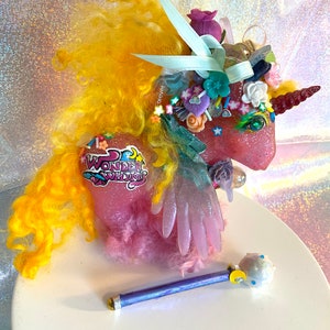 Wonder Whims-inspired Pony