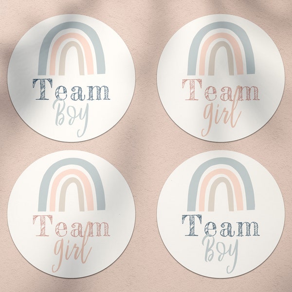 Rainbow Gender Reveal Voting Stickers, Team Boy Team Girl Stickers, Blue Pink Gender Reveal Stickers, Editable Instant Download - Blakely