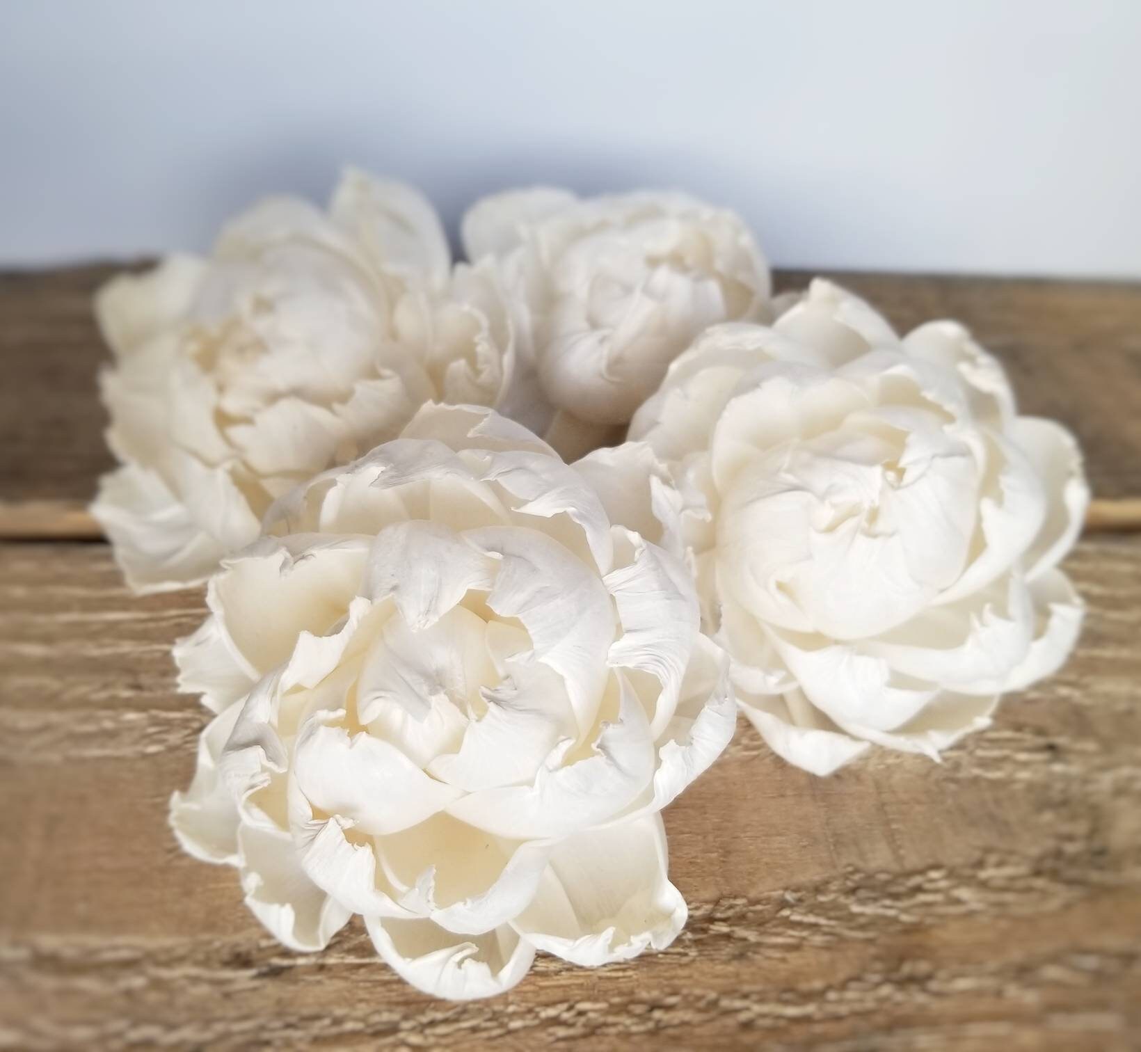 3 Sola Wood Flower Peony Set of 4 Full Large Ivory Cream Etsy