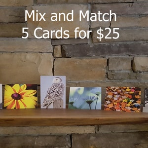 Cartes photo pliées - 5.5"x4 » - Les cartes sont vierges à l’intérieur.  Choisissez n’importe quel 5 - Cartes pliées, Cartes de vœux mix and match, Faune, Nature