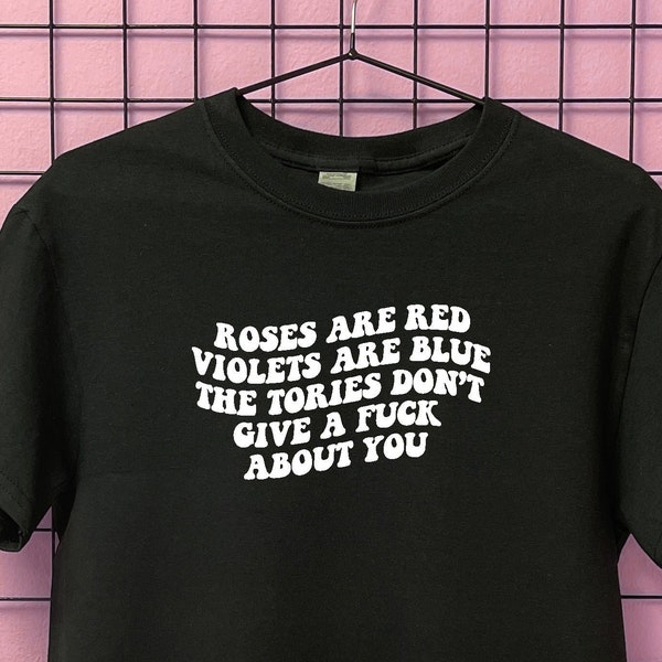 Tories don't give a fuck aggressive t-shirt | S M L XL 2XL 3XL 4XL 5XL 6XL Plus size | alt clothing | unique | gift for best friend