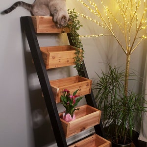 DIY Vertical Ladder Planter Plan image 2