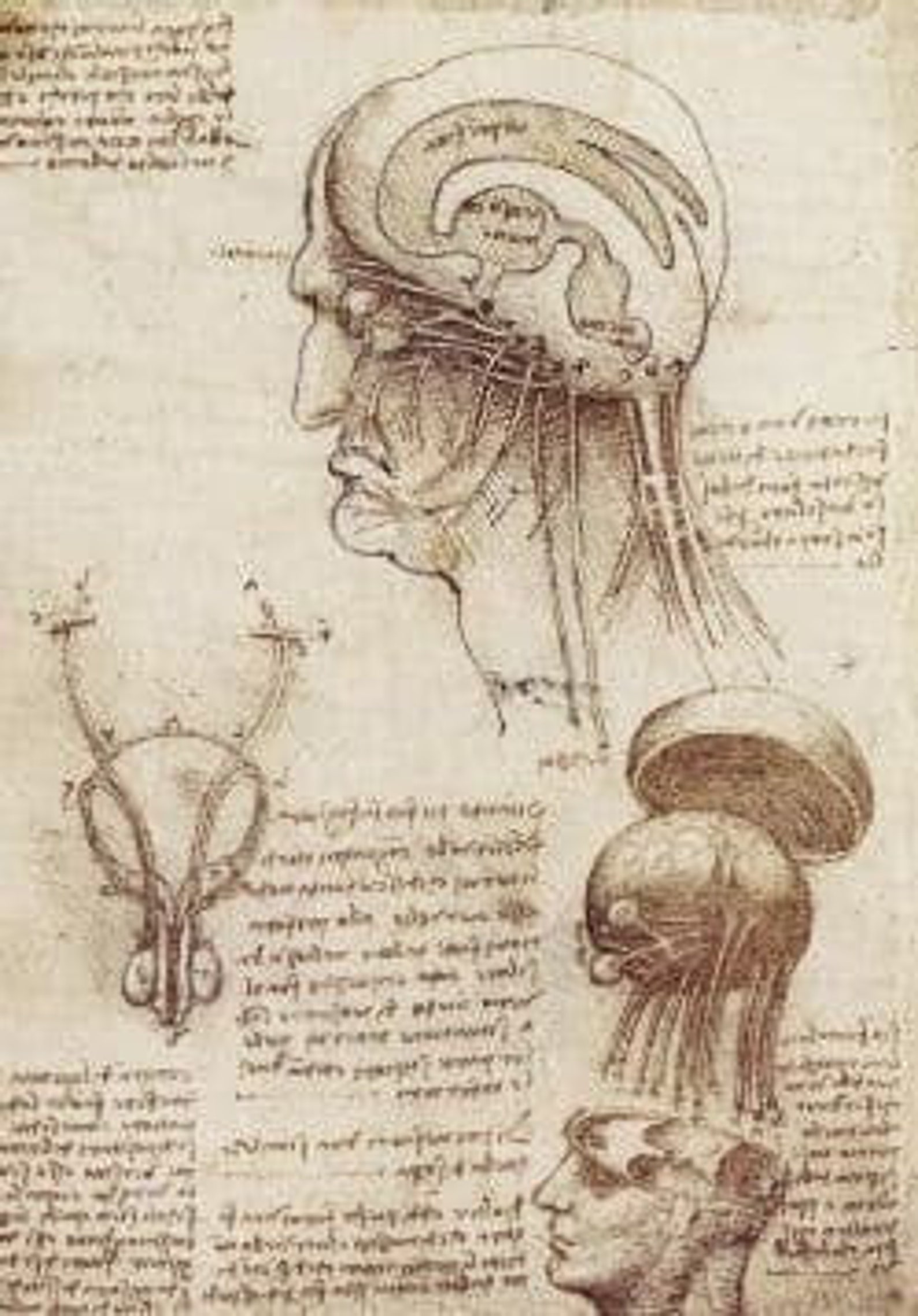 Complete Works of Leonardo Da Vinci downloadable .pdf Etsy