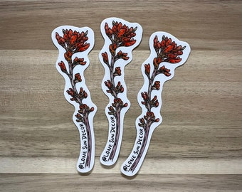 Indian Paintbrush - Sticker