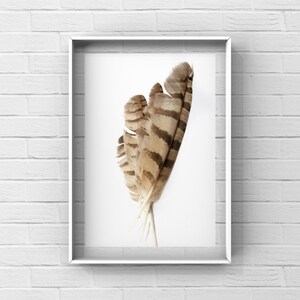 Feathers - Printable Wall Art - Instant Digital Download