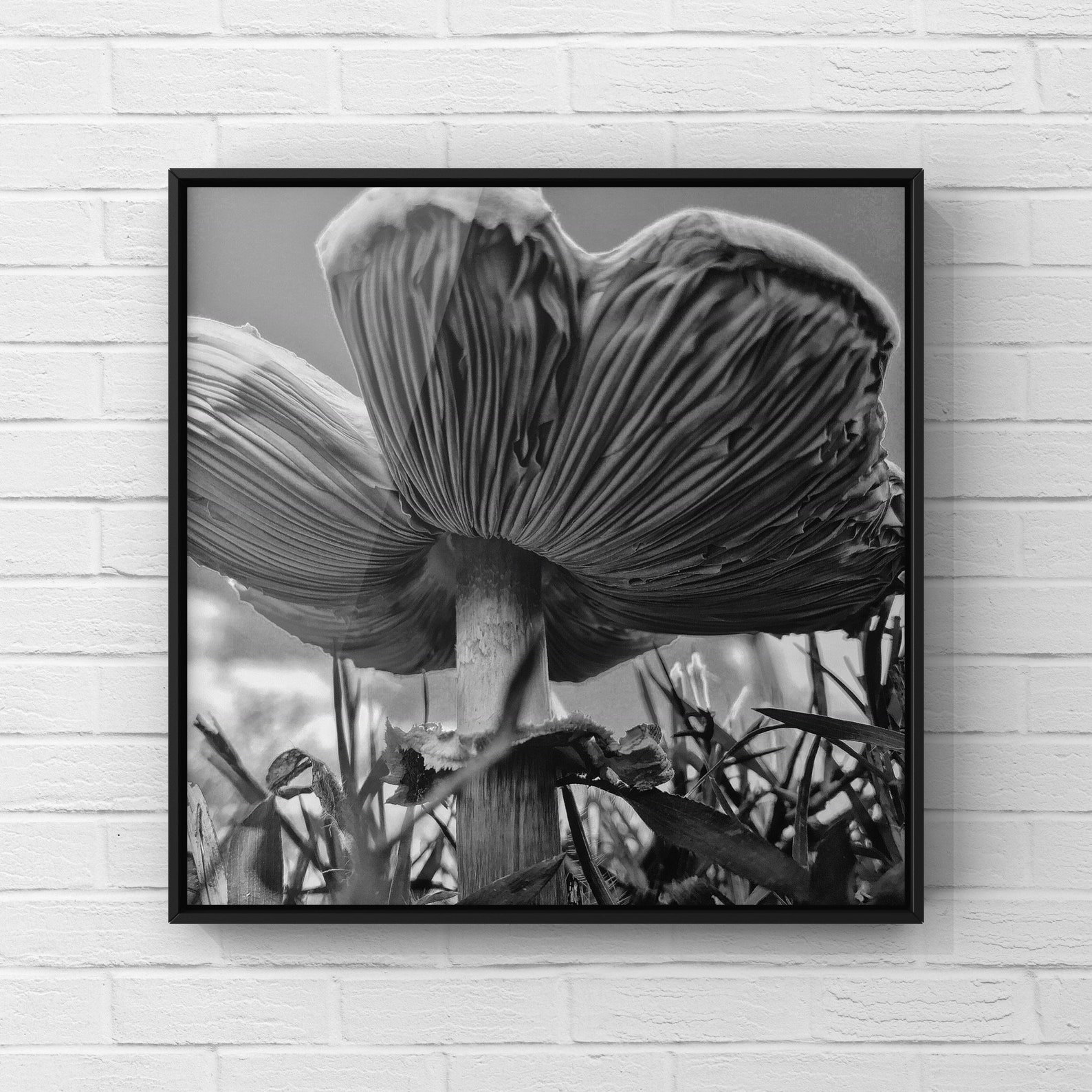 Mushroom Black & White Grayscale Square Printable Wall - Etsy