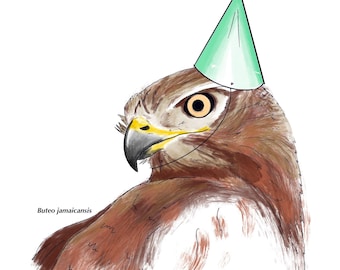 Hawk Birthday Card