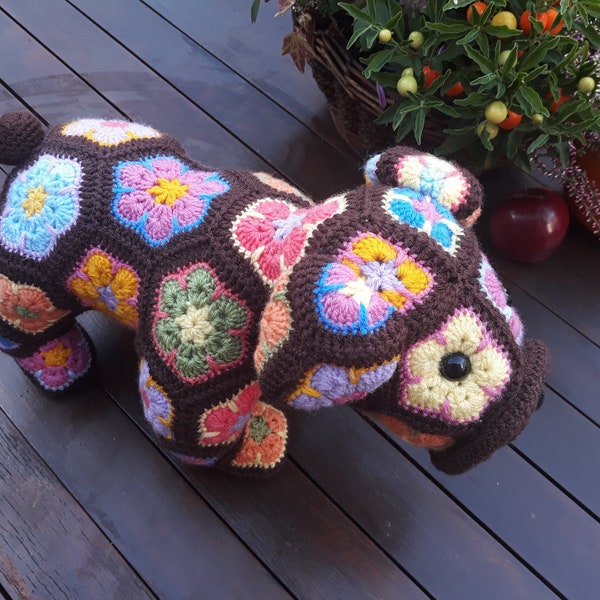 African Flower Bulldog