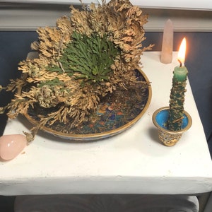 One Green Money Four Inch Spell Candle. Dressed with Altar Oil, Galangal Root, Basil and Ready for Ritual. Green Dressed Spell Candle. image 2