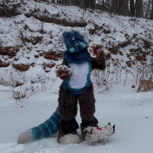 May include: A blue and brown furry costume with a matching tail stands in the snow. The costume has a blue face with white accents and large paws. A small dog in a white coat with a red cross is nearby.