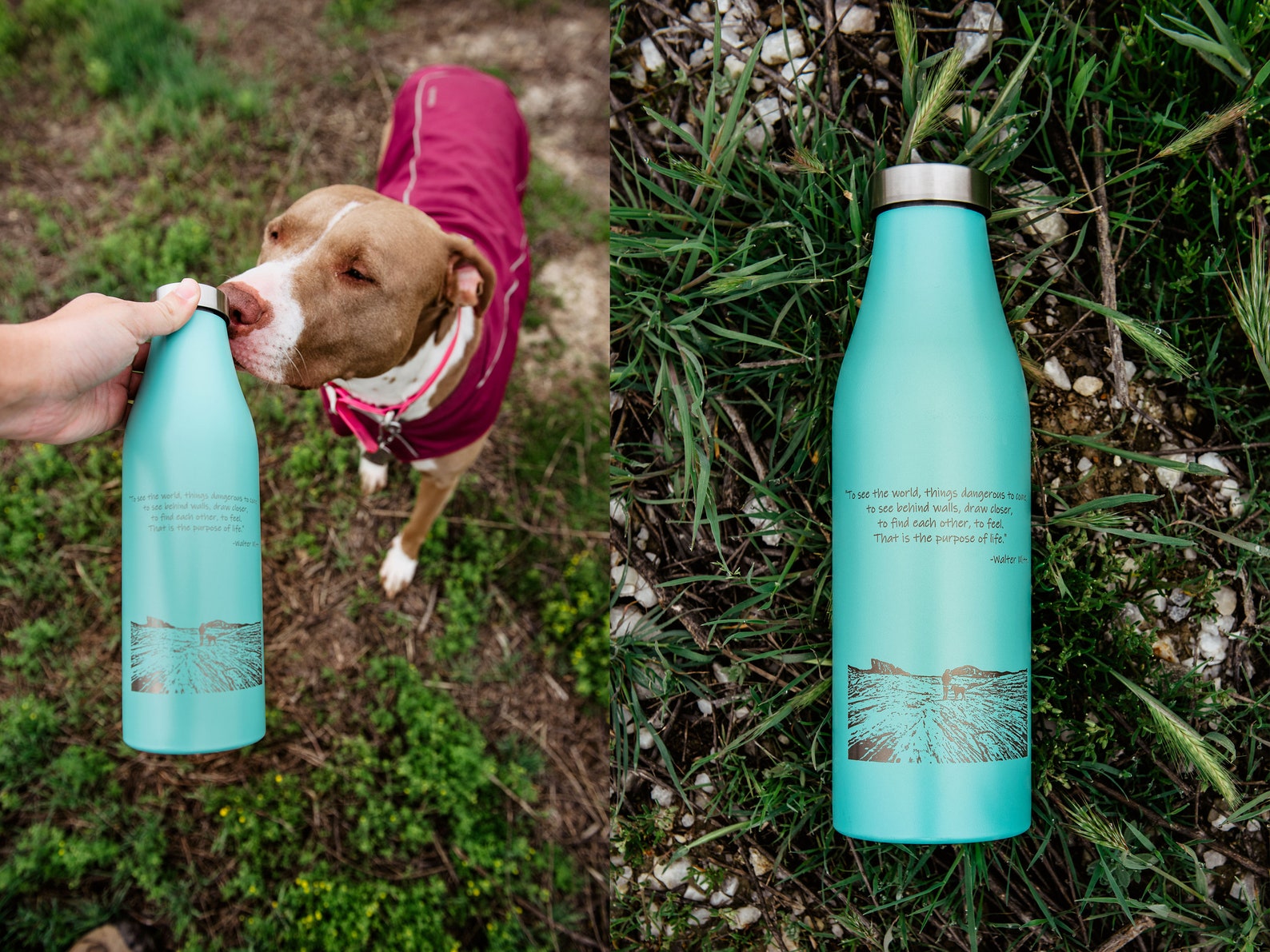 Custom Water Bottle 21 oz Dog Photo Engraved Dog Portrait Etsy