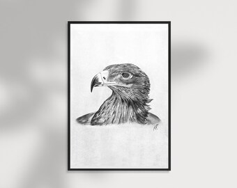 Art print of handmade illustration of an Eagle. Detailed art, wild animal, jungle