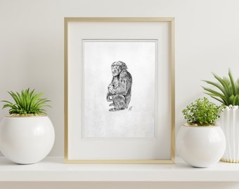 Art print of handmade illustration of a Chimpanzee. Detailed art, wild animal, jungle