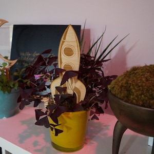 Rocket Plant Trellis