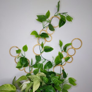 Wall Hanging Bubbles Plant Trellis