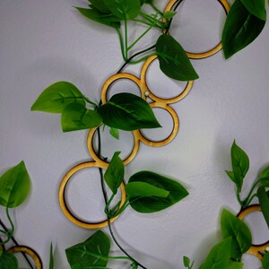 May include: A decorative wooden garland with a series of connected circles, resembling a chain, is draped over a green leafy vine. The garland is a light brown color and the leaves are a vibrant green.
