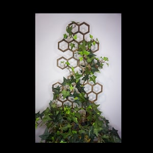 Honeycomb Wooden Trellis - - Rubber coated stakes