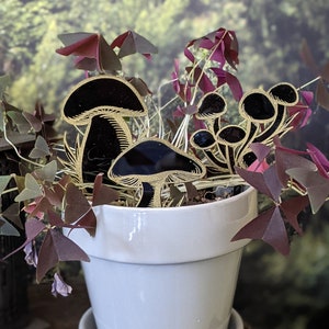 Pode incluir: Um vaso de cer&acirc;mica branco com um pires, cheio de uma planta verde frondosa. A planta tem folhas de cor p&uacute;rpura escura e &eacute; decorada com recortes de cogumelos pretos e dourados.
