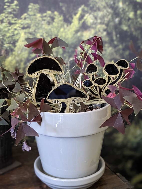 Mushroom Trellis Plant Set Acessorie - WOODEN or BLACK ACRYLIC