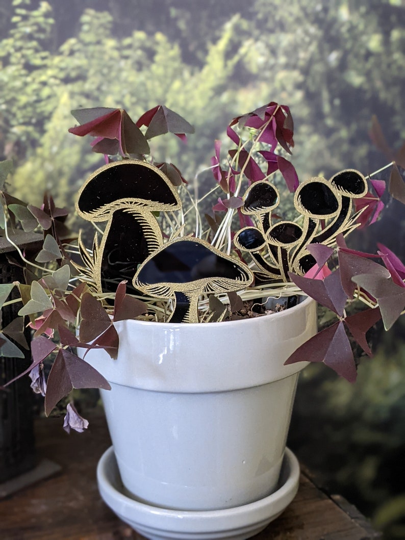 Pode incluir: Um vaso de cer&acirc;mica branco com um pires, cheio de uma planta verde frondosa. A planta tem folhas de cor p&uacute;rpura escura e &eacute; decorada com recortes de cogumelos pretos e dourados.