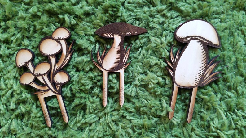 Pode incluir: Tr&ecirc;s toppers de bolo de madeira em forma de cogumelo. O primeiro topper &eacute; um grupo de cinco cogumelos com hastes marrons e tampas brancas. O segundo topper &eacute; um &uacute;nico cogumelo com uma tampa marrom e uma haste branca. O terceiro topper &eacute; um &uacute;nico cogumelo com uma tampa branca e uma haste branca. Todos os tr&ecirc;s toppers t&ecirc;m um acabamento de madeira marrom.