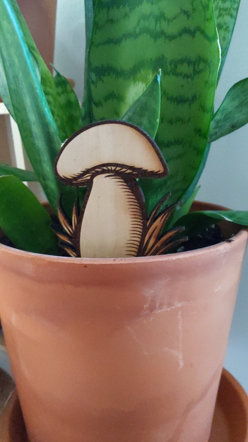 Pode incluir: Um marcador de planta de madeira em forma de cogumelo com um design detalhado, colocado em um vaso de terracota com uma planta cobra verde.