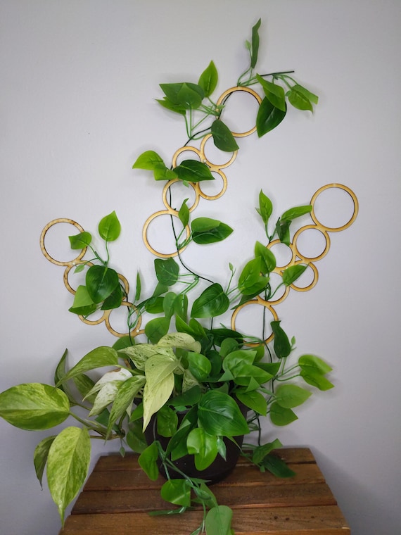 Wall Hanging Bubbles Plant Trellis