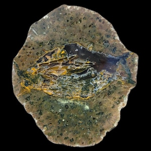 May include: A polished, irregularly shaped stone with a natural pattern. The stone features a mix of colors, including brown, green, yellow, and black, with a dark center. The surface has a textured appearance, showcasing the stone's unique geological composition.