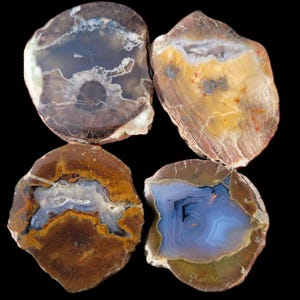 Group of small thundereggs: Lost Rabbit; Eddy bed, Donnybrook; McDermitt