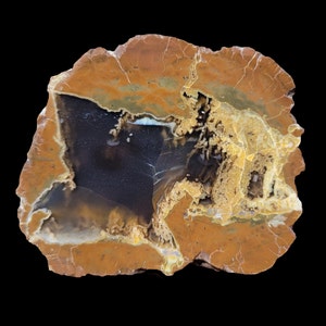 Pièce de couche polie Pony Butte Richardson Ranch Thunderegg