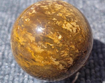 Indonesische Palmholz Fossil versteinertes Holz Kugel poliert Ausstellungsstück