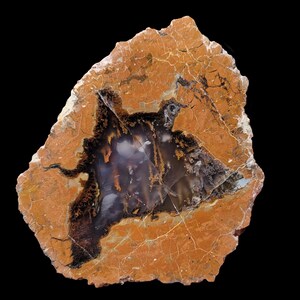 May include: A slice of agate with a brown, orange, and white pattern. The agate has a large, irregular, white and gray center with a black border.