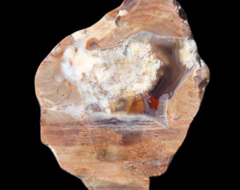 Tavernier thunderegg polished display piece