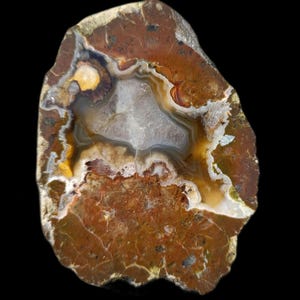 May include: A polished agate slice featuring a central geode cavity filled with translucent white quartz crystals, surrounded by concentric bands of earthy brown, tan, and cream colors with visible mineral inclusions and a rough outer edge.