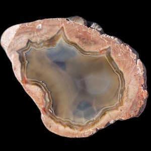 May include: A polished agate stone slice with concentric bands of color. The outer edge is a reddish-brown, transitioning to lighter browns and grays towards the center. The center features a blue-gray area, creating a natural, decorative piece.
